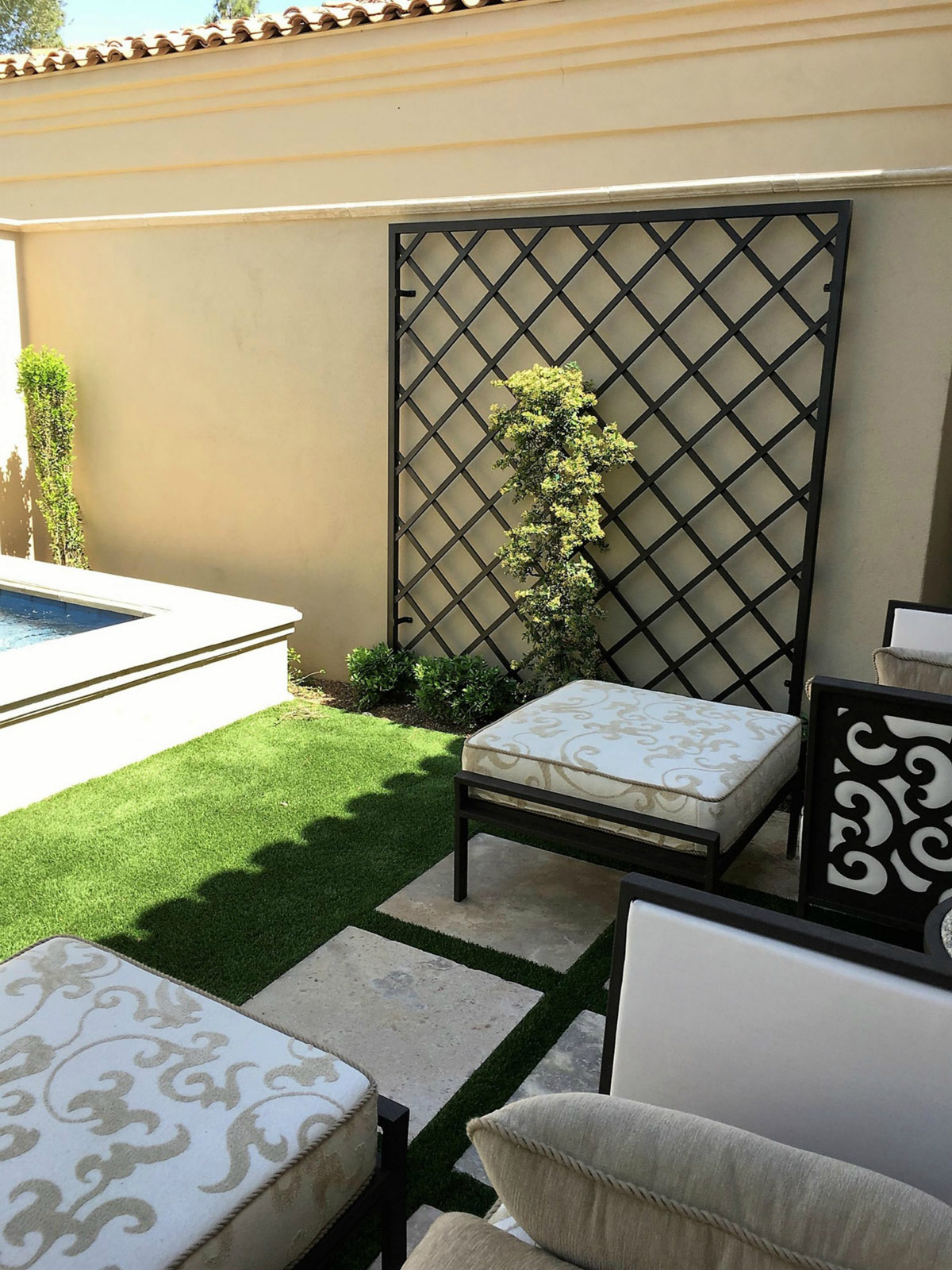 Ellison for the PHnG  (11)